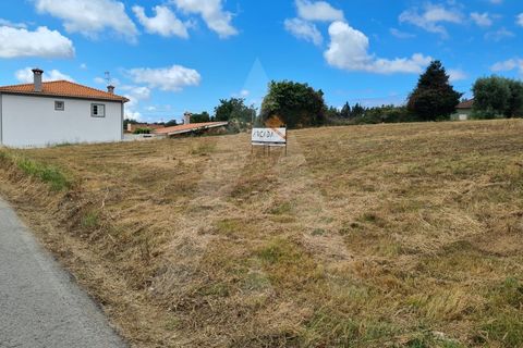 Helårsgrund i Macinhata do Vouga, Aveiro, Macinhata do Vouga - € 60.000 | Ref: 1060586/21 AL - foto 3