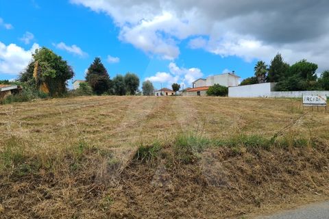 Helårsgrund i Macinhata do Vouga, Aveiro, Macinhata do Vouga - € 60.000 | Ref: 1060586/21 AL - foto 4