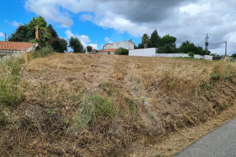 Helårsgrund i Macinhata do Vouga, Aveiro, Macinhata do Vouga - € 60.000 | Ref: 1060586/21 AL - foto 5