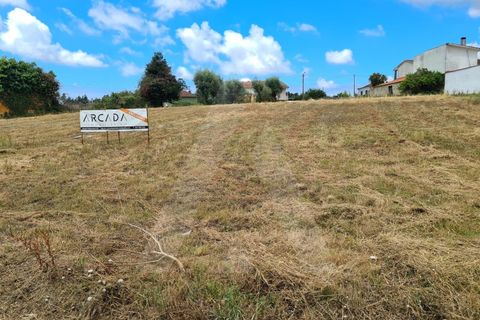 Helårsgrund i Macinhata do Vouga, Aveiro, Macinhata do Vouga - € 60.000 | Ref: 1060586/21 AL - foto 6