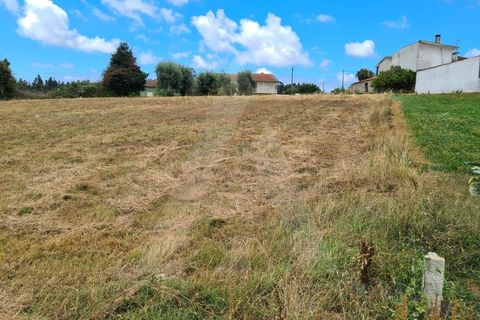 Helårsgrund i Macinhata do Vouga, Aveiro, Macinhata do Vouga - € 60.000 | Ref: 1060586/21 AL - foto 7