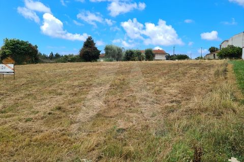 Helårsgrund i Macinhata do Vouga, Aveiro, Macinhata do Vouga - € 60.000 | Ref: 1060586/21 AL - foto 8