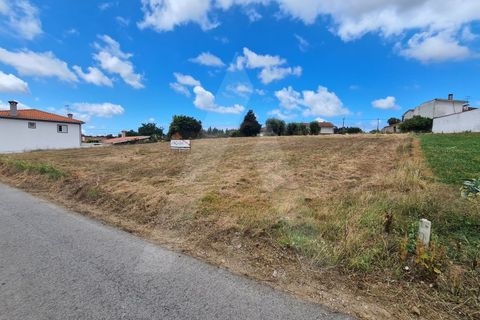 Helårsgrund i Macinhata do Vouga, Aveiro, Macinhata do Vouga - € 60.000 | Ref: 1060586/21 AL - foto 9