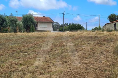 Helårsgrund i Macinhata do Vouga, Aveiro, Macinhata do Vouga - € 60.000 | Ref: 1060586/21 AL - foto 10