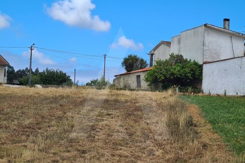 Helårsgrund i Macinhata do Vouga, Aveiro, Macinhata do Vouga - € 60.000 | Ref: 1060586/21 AL - foto 11