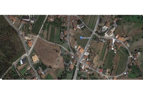 Helårsgrund i Macinhata do Vouga, Aveiro, Macinhata do Vouga - € 60.000 | Ref: 1060586/21 AL - foto 13