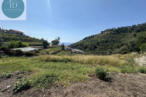 Tomt i Castellaro, Imperia, Castellaro - € 169 000 | Ref: 236 - foto 3
