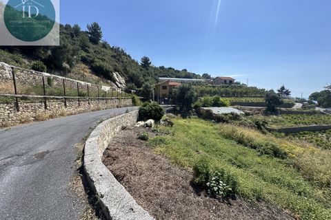 Tomt i Castellaro, Imperia, Castellaro - € 169 000 | Ref: 236 - foto 4