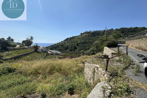 Tomt i Castellaro, Imperia, Castellaro - € 169 000 | Ref: 236 - foto 5