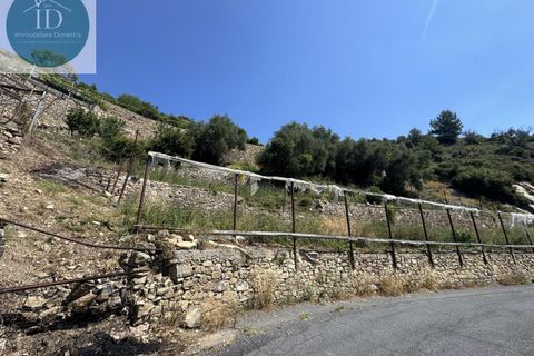 Tomt i Castellaro, Imperia, Castellaro - € 169 000 | Ref: 236 - foto 7