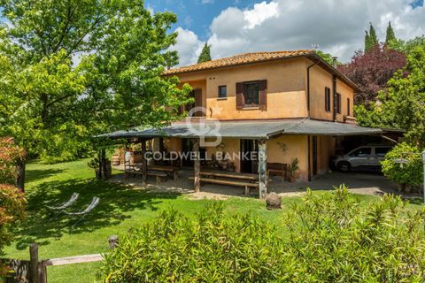 Landejendom i Montecchio, Terni, Montecchio - € 1.390.000 | Ref: CBI134-2782-285 - foto 4