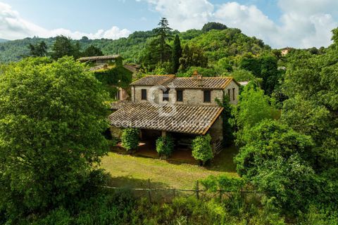 Masia a Baschi, Terni, Baschi - € 773.000 | Ref: CBI134-2062-286 - foto 7