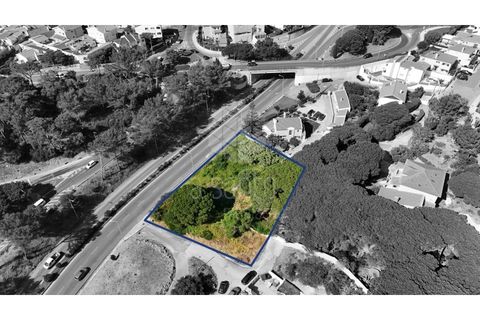 Helårsgrund i Cascais, Lisbon, Cascais - € 1.200.000 | Ref: RE10839AE - foto 13