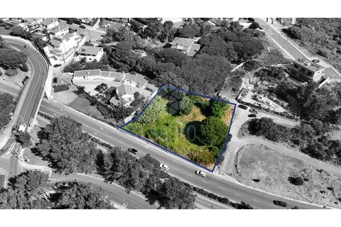 Helårsgrund i Cascais, Lisbon, Cascais - € 1.200.000 | Ref: RE10839AE - foto 16