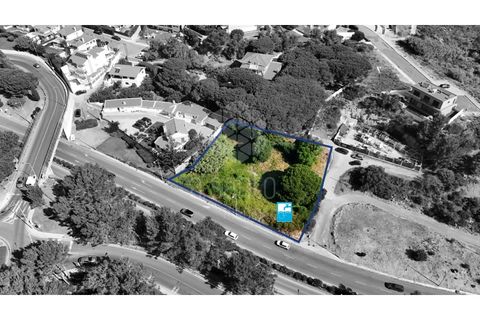 Helårsgrund i Cascais, Lisbon, Cascais - € 1.200.000 | Ref: RE10839AE - foto 21
