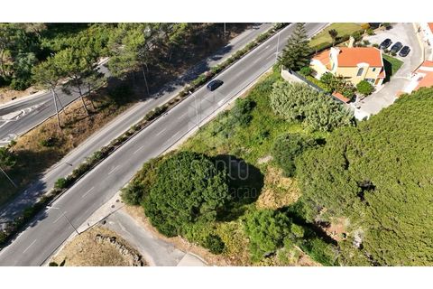 Helårsgrund i Cascais, Lisbon, Cascais - € 1.200.000 | Ref: RE10839AE - foto 28