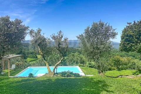 Villa a Montaria, Viana do Castelo, Montaria - € 430.000 | Ref: 2843 - foto 20