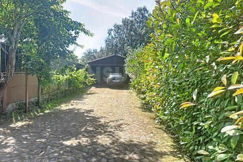 Villa a Montaria, Viana do Castelo, Montaria - € 430.000 | Ref: 2843 - foto 32