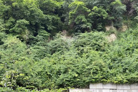 Terreno en Nice, Alpes-Maritimes, Nice - € 50.000 | Ref: 1878LR - photo 2