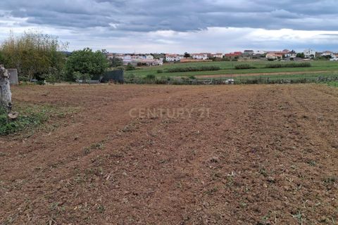 Villa i Alcobaca, Leiria, Alcobaca - € 160.000 | Ref: 1739-02315 - foto 13