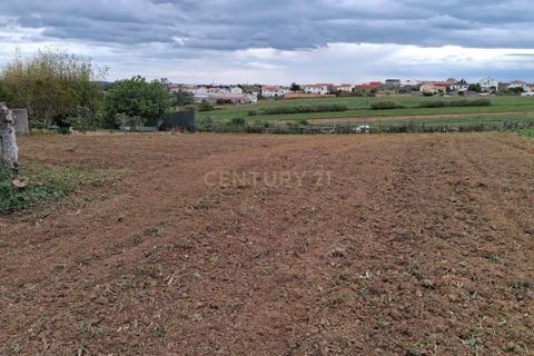 Villa i Alcobaca, Leiria, Alcobaca - € 160.000 | Ref: 1739-02315 - foto 20