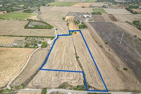 Terra a Manacor, Mallorca, Manacor - € 145.000 | Ref: 05ML032/3010 - foto 2