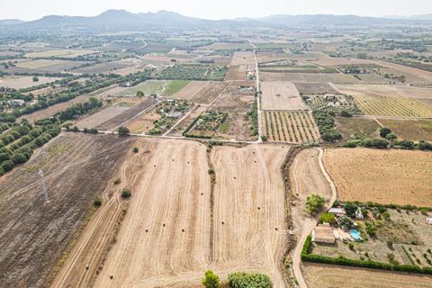 Terra a Manacor, Mallorca, Manacor - € 145.000 | Ref: 05ML032/3010 - foto 4