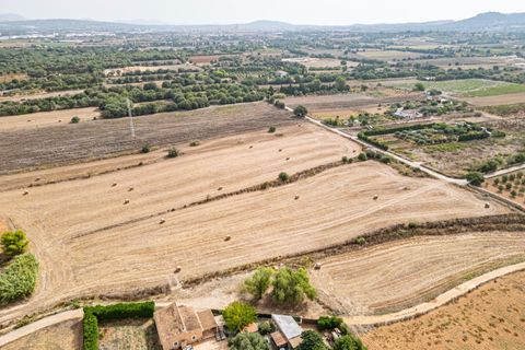 Terra a Manacor, Mallorca, Manacor - € 145.000 | Ref: 05ML032/3010 - foto 5