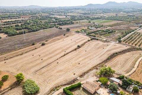 Terra a Manacor, Mallorca, Manacor - € 145.000 | Ref: 05ML032/3010 - foto 6