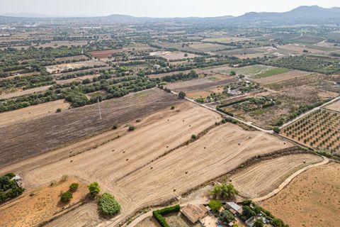 Terra a Manacor, Mallorca, Manacor - € 145.000 | Ref: 05ML032/3010 - foto 8