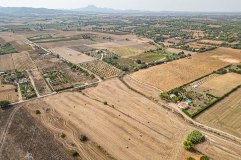 Terra a Manacor, Mallorca, Manacor - € 145.000 | Ref: 05ML032/3010 - foto 9