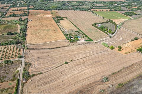 Terra a Manacor, Mallorca, Manacor - € 145.000 | Ref: 05ML032/3010 - foto 10