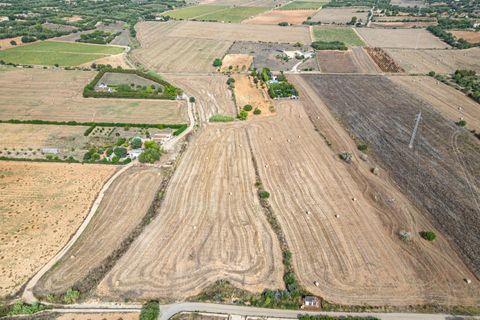 Terra a Manacor, Mallorca, Manacor - € 145.000 | Ref: 05ML032/3010 - foto 11