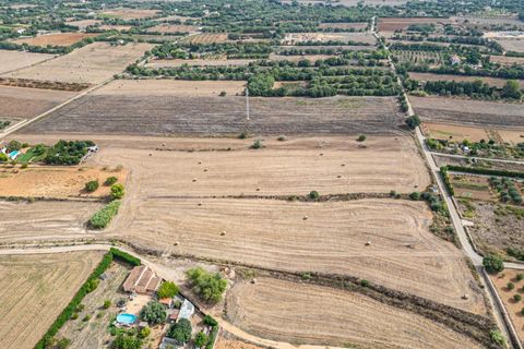 Terra a Manacor, Mallorca, Manacor - € 145.000 | Ref: 05ML032/3010 - foto 14