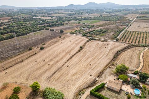 Terra a Manacor, Mallorca, Manacor - € 145.000 | Ref: 05ML032/3010 - foto 17