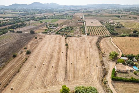 Terra a Manacor, Mallorca, Manacor - € 145.000 | Ref: 05ML032/3010 - foto 18