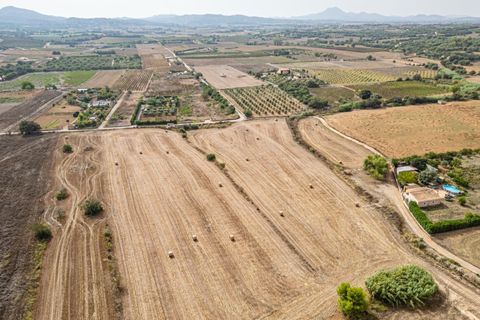Terra a Manacor, Mallorca, Manacor - € 145.000 | Ref: 05ML032/3010 - foto 19