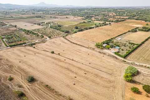 Terra a Manacor, Mallorca, Manacor - € 145.000 | Ref: 05ML032/3010 - foto 20