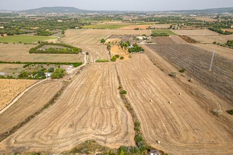 Terra a Manacor, Mallorca, Manacor - € 145.000 | Ref: 05ML032/3010 - foto 21