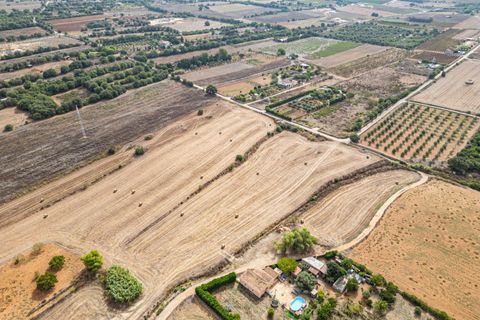 Terra a Manacor, Mallorca, Manacor - € 145.000 | Ref: 05ML032/3010 - foto 22