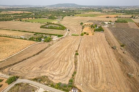 Terra a Manacor, Mallorca, Manacor - € 145.000 | Ref: 05ML032/3010 - foto 27