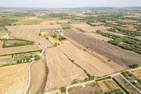 Terra a Manacor, Mallorca, Manacor - € 145.000 | Ref: 05ML032/3010 - foto 28