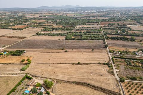 Terra a Manacor, Mallorca, Manacor - € 145.000 | Ref: 05ML032/3010 - foto 30