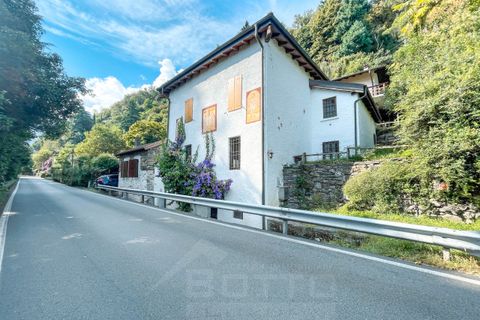 Villa a Cannero Riviera, Verbano Cusio Ossola, Cannero Riviera - € 320.000 | Ref: T521 - foto 39