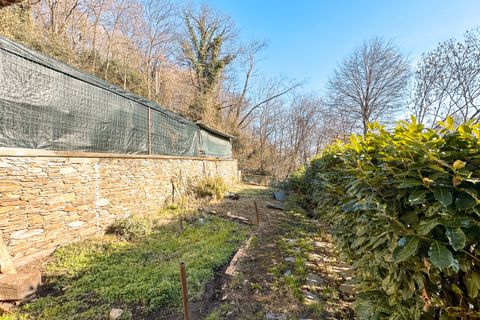 Villa i Cossogno, Verbano Cusio Ossola, Cossogno - € 470.000 | Ref: T476 - foto 26