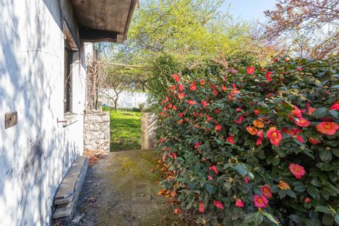 Villa a Baveno, Verbano Cusio Ossola, Baveno - € 400.000 | Ref: T531 - foto 24