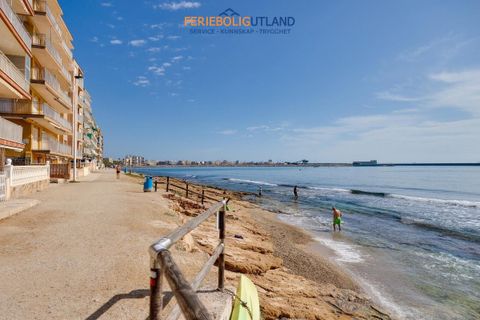 Bungalou a Torrevieja, Alicante, Torrevieja - € 137.900 | Ref: FBU22083 - foto 31