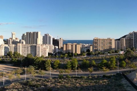 Penthouse i Benidorm, Alicante, Benidorm - € 735.750 | Ref: C113-D01-P22 - foto 11