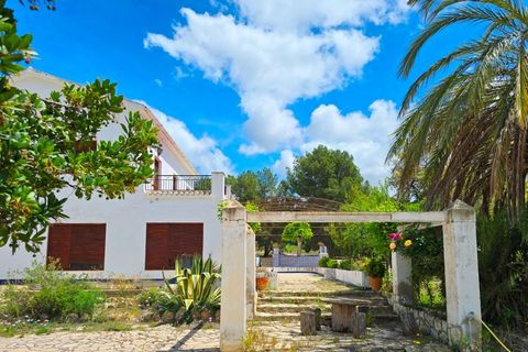 Finca in Xixona, Alicante - Foto 4