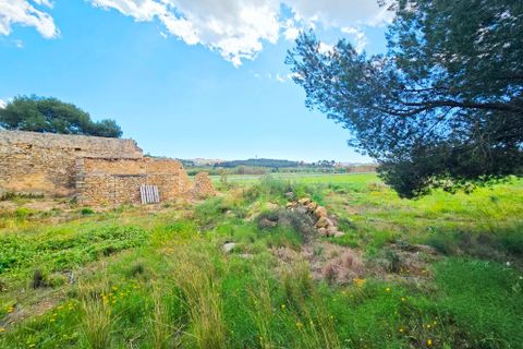 Finca i Teulada, Alicante, Teulada - € 870.000 | Ref: finca teulada-gata - foto 42